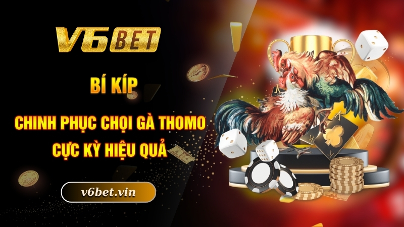 Đá Gà Thomo - Niềm Đam Mê Bất Tận Của Các Thành Viên 5 Bí kíp chinh phục chọi gà Thomo cực kỳ hiệu quả