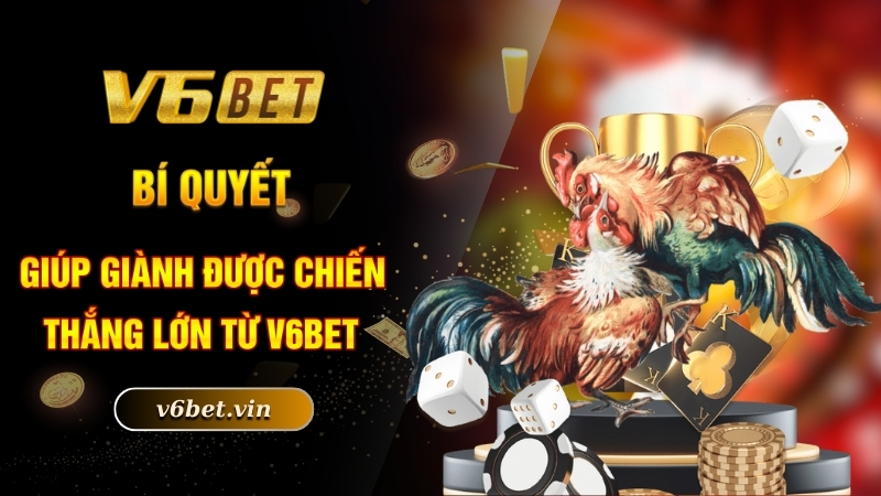Đá Gà Trực Tiếp - Hình Thức Chọi Kê Được Yêu Thích Số 1 5 Bí quyết giúp giành được chiến thắng lớn từ V6bet