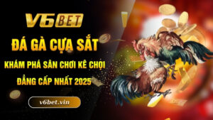 Đá gà cựa sắt