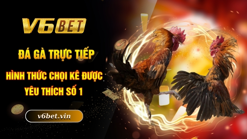Đá gà trực tiếp