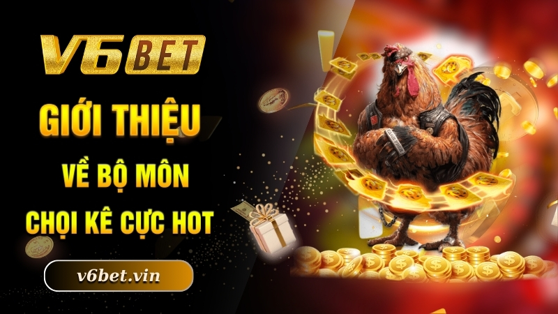 Đá Gà Cựa Sắt - Khám Phá Sân Chơi Kê Chọi Đẳng Cấp Nhất 2025 2 Giới thiệu về bộ môn chọi kê cực hot
