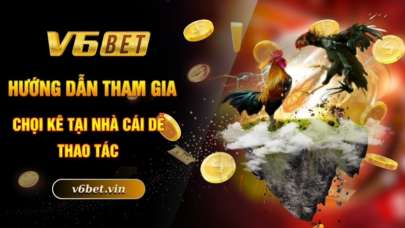 Hướng dẫn tham gia chọi kê tại nhà cái dễ thao tác