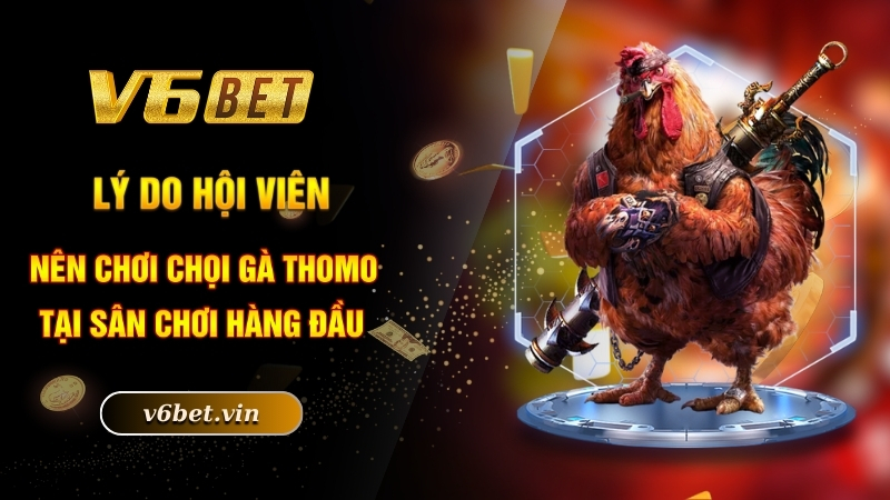 Đá Gà Thomo - Niềm Đam Mê Bất Tận Của Các Thành Viên 3 Lý do hội viên nên chơi chọi gà Thomo tại sân chơi hàng đầu