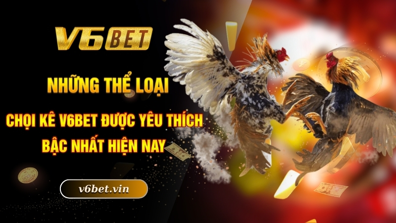 Những thể loại chọi kê V6bet được yêu thích bậc nhất