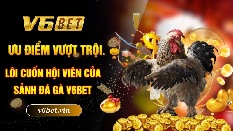 Ưu điểm vượt trội lôi cuốn hội viên của sảnh đá gà V6bet